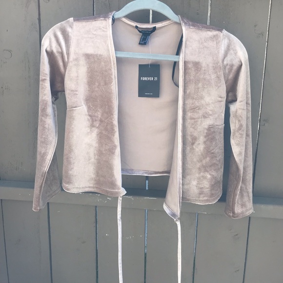 Forever 21 Tops - Forever 21 Velvet Long Sleeve Crop Top Forever 21 Tops - Forever 21 Velvet Long Sleeve Crop Top